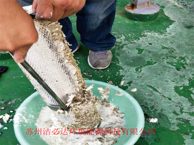 冷冻机循环水吸垢 3天